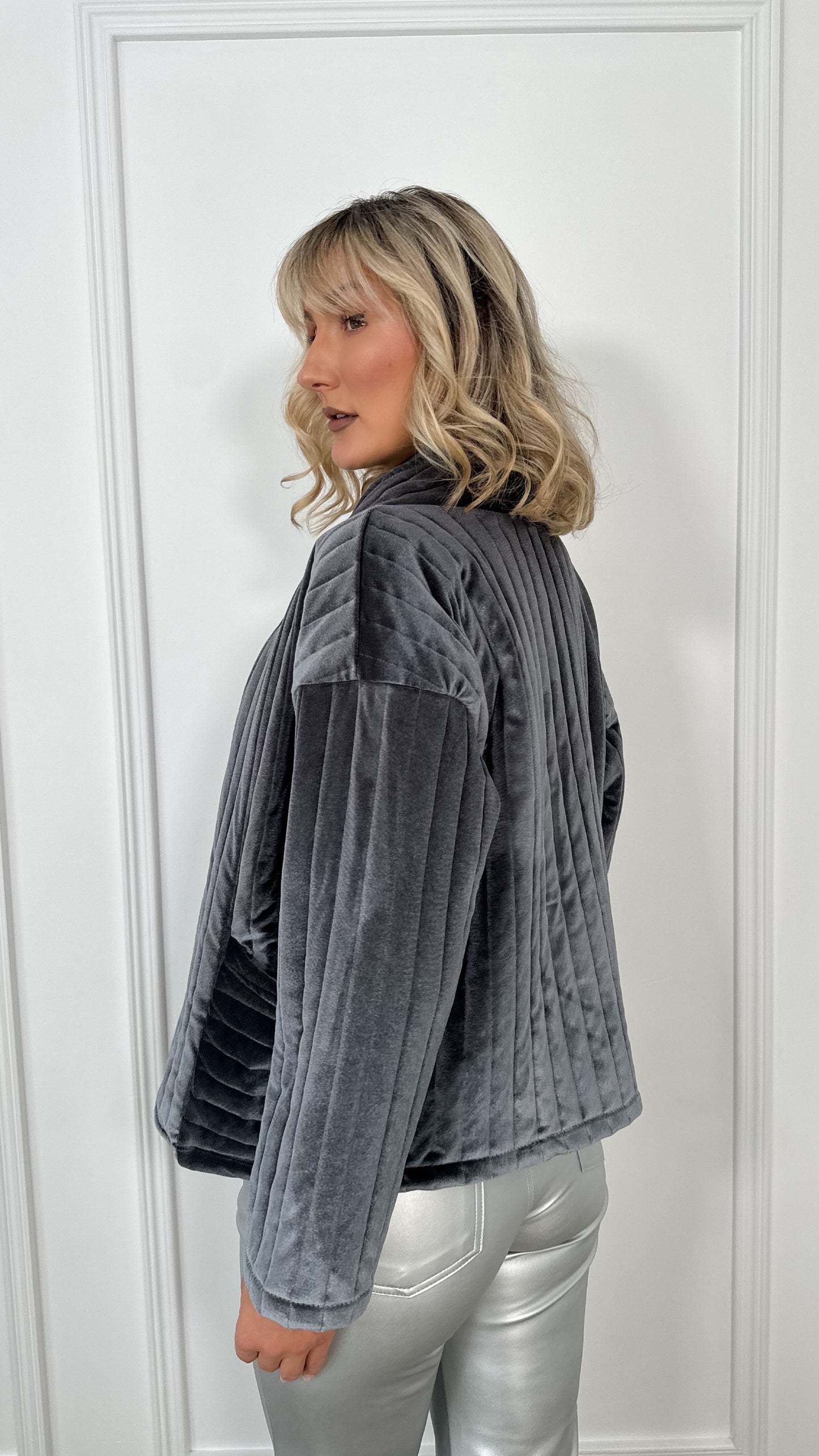 Paloma  Velvet Blazer Jacket with Pockets in Silver